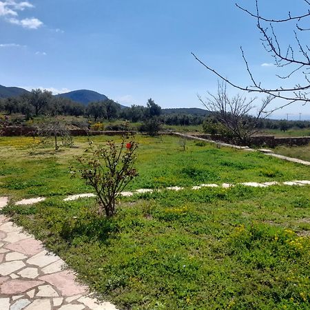 “Villa Othon-Leni” Paralia Demonias ภายนอก รูปภาพ