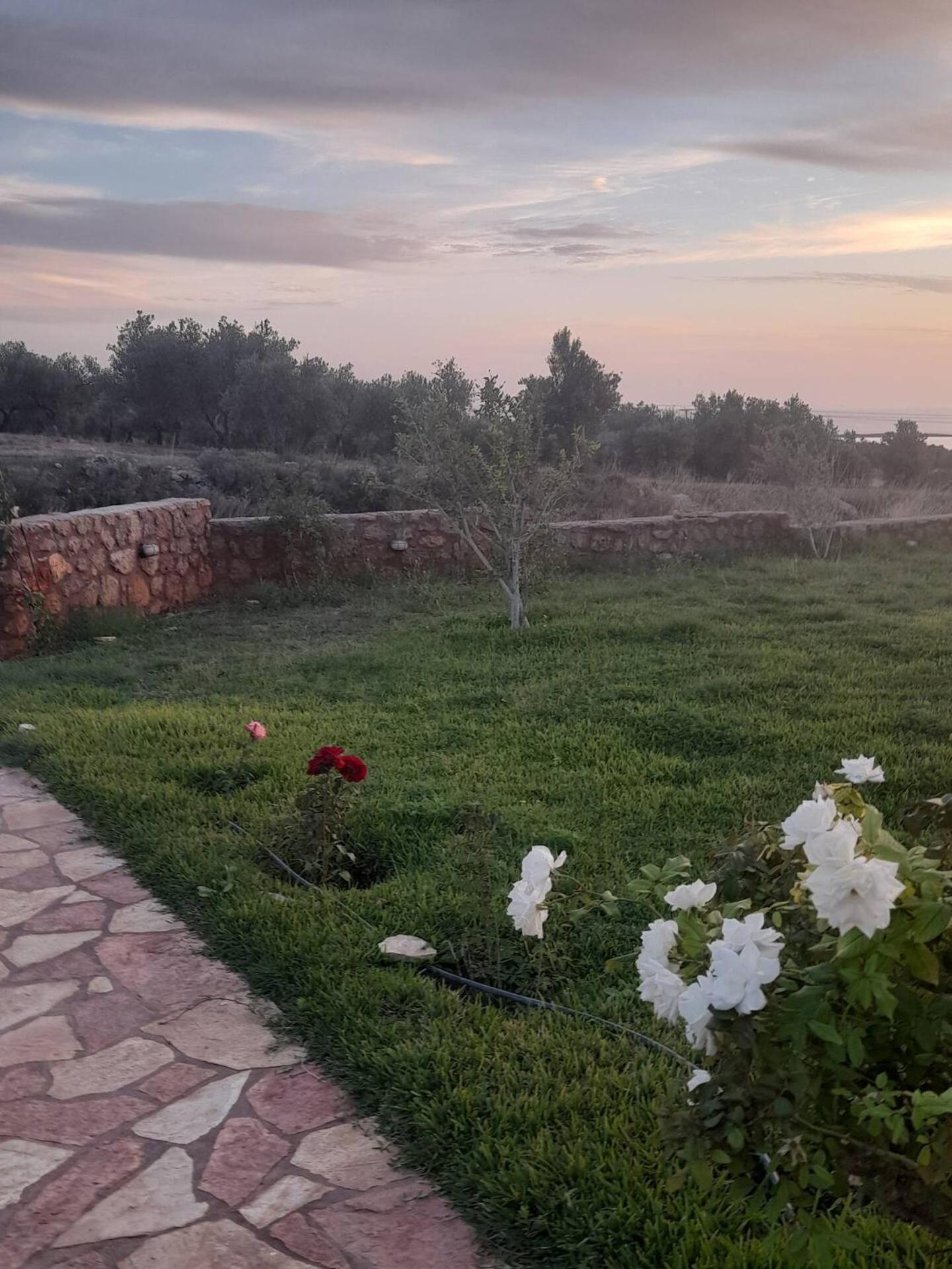 “Villa Othon-Leni” Paralia Demonias ภายนอก รูปภาพ
