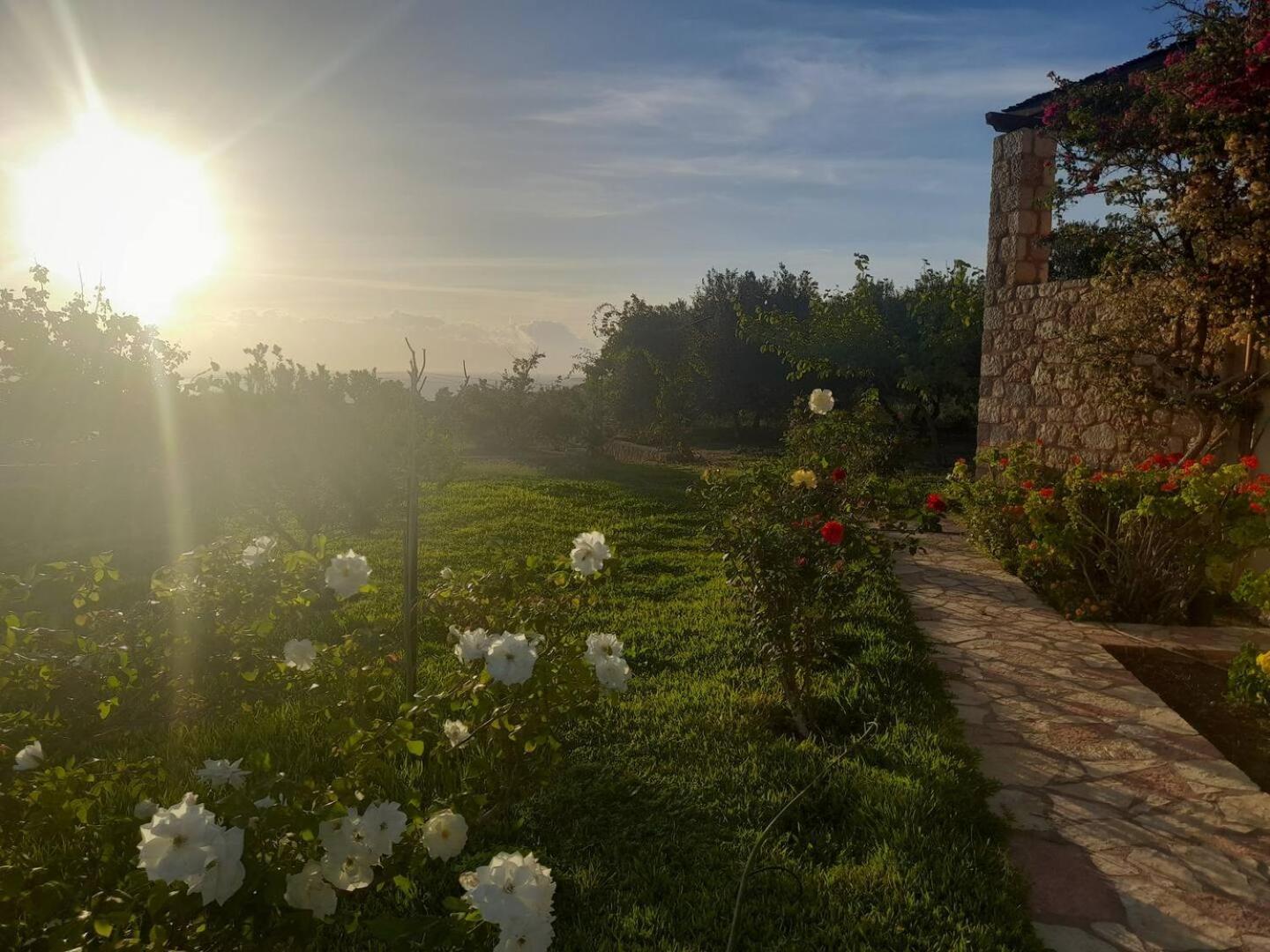 “Villa Othon-Leni” Paralia Demonias ภายนอก รูปภาพ
